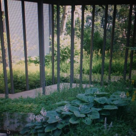 Avliving City Flat Basel With Roof Garden Dış mekan fotoğraf