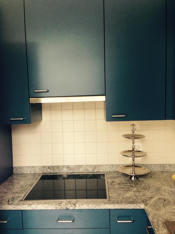 Avliving City Flat Basel With Roof Garden Dış mekan fotoğraf